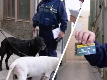 Les forces de l'ordre en train de contrôler un passeport pour chien