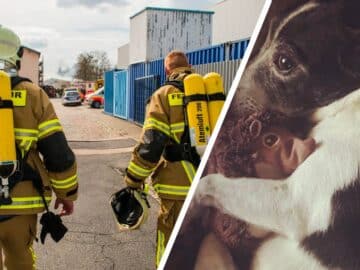 Des pompiers qui sauvent un chien