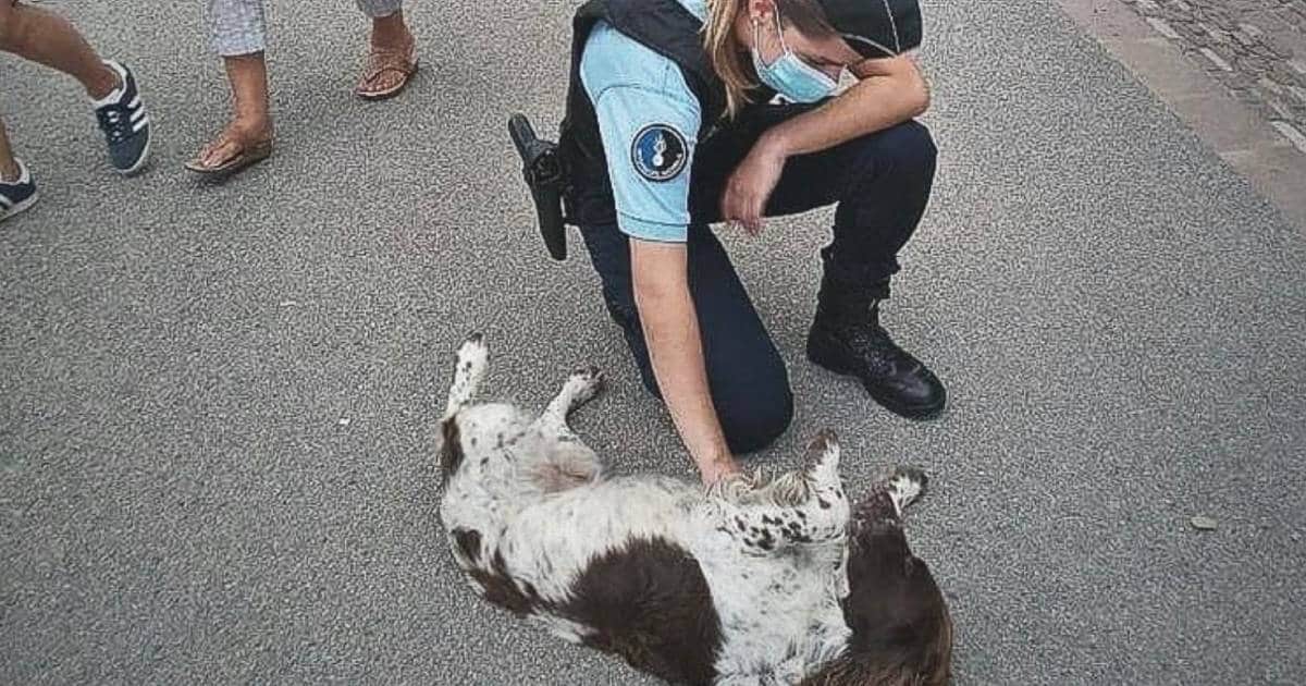 Un policier réalise un contrôle canin